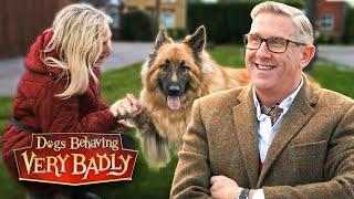 Dogs Behaving Very Badly: Series 4 - Episode 7 | Full Episode