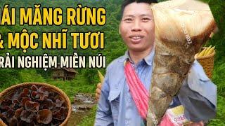 Một ngày đi hái măng ngọt và chuyến khám phá rừng núi