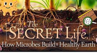 MICROBES Are the SECRET to Growing the HEALTHIEST Soil on the Planet?