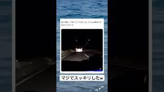 #煽り#運転#対処法#面白い#スッキリ#shorts