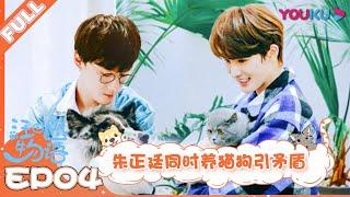 【汪喵物语】EP04：朱正廷同时养猫狗引矛盾，小奶猫集体吃榴莲！！| 朱正廷/张雨剑/边江/北辰/张思王之/邱邱/白雪岑/乔诗语/弋 凡/张磊 | YOUKU SHOW | 优酷综艺