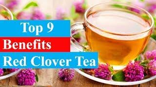 Top 9 Benefits of Red Clover Tea | Health Benefits - Smart Your Health