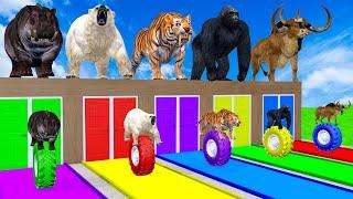 5 Giant Duck, Hippo, Bear, Gorilla, Cow Transfiguration funny animal 2024