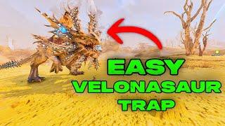 Easy VELONASAUR Trap!! How To Easily Tame a Velo in Ark Survival Ascended!!!