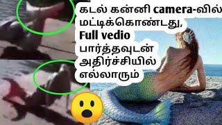 Real mermaid in tamil||kadal kanni in tamil