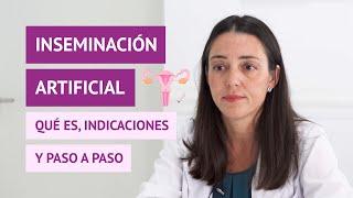 Inseminación artificial | ¿Qué es y cuál es su tasa de éxito?