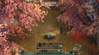 AION JP (55 templar) PvP ジケル part1