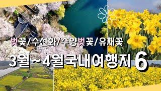 [4K]3월말부터 4월까지 가볼만한 봄꽃 여행지 /4월가볼만한곳/4월여행지추천