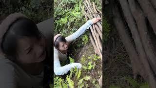 九妹记录农村日常苗家九妹回农村 地地道道的农村姑娘 支持三农扶持三农发展 清纯朴实 能干又顾家的农村姑娘 贵州农村女孩 @苗家九妹@ 苗家九妹小号