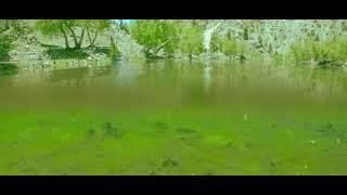 Satrangi Lake (Under water view) | Naltar Bala, Naltar valley, Gilgit Baltistan, Pakistan