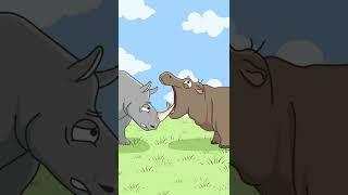 河马用犀牛角剔牙Hippos use rhino horns to pick their teeth