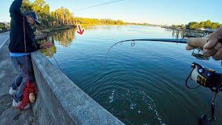 World's Best Fishing Bridge Was LOADED!