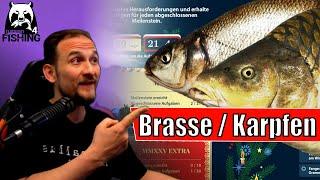 Russian Fishing 4 - Moskito See - Karpfen und Brasse, Aufgabe 4,2 und 1,3