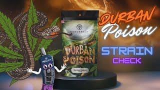 Durban Poison –  Strain Review - Die legendäre Sativa-Landrasse aus Südafrika!