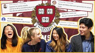 Harvard Students spill the COLLEGE TEA... ft. Sienna Santer, MattyCraps, ClamsArts! | Katie Tracy