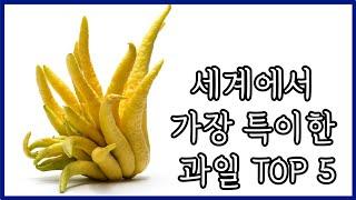 세계에서 가장 특이한 과일 TOP 5