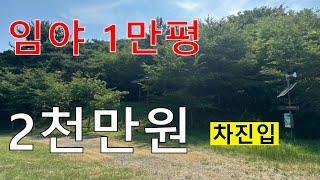 2천만원 1만평 싼임야 차진입 자연인 전원생활 숲6차산업 숲경영 약용재배 수목장 산분장분양 숲가치63억원 탄소권1197만원 임업직불금 땅과함께(새희망을)경매임야 공매임야 나도땅주인