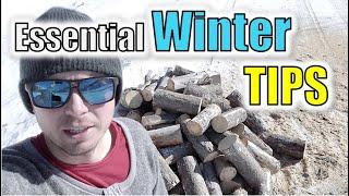 Quick WINTER Top-up! 🪓 Firewood Gathering & Cutting | Quick Harvesting to Process and Refill!