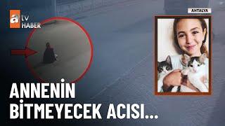 Köpek saldırısından kaçarken öldü... - atv Ana Haber 27 Temmuz 2024