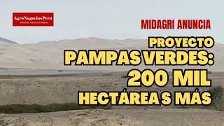 Anuncian proyecto de irrigación Pampas Verdes, 200 mil hectáreas para Ayacucho, Ica y Arequipa