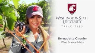 Wine Science at WSU Tri-Cities - Invite Challenge