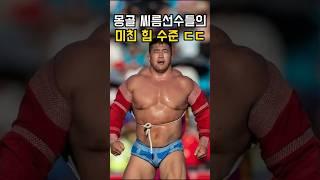 몽골 씨름선수 힘 수준 ㄷㄷ