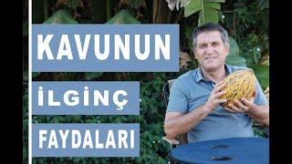 KAVUNUN FAYDALARI I KAVUN VİTAMİNLERİ ve CİLDE FAYDASI I ÇEKİRDEĞİNİN YARARALARI I KIRKAĞAÇ KAVUNU