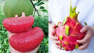 15 Exotic Fruits You Won't Believe Actually Exist