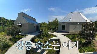 재방문 의사 200% 강릉 숙소 | 짧지만 알찬 1박2일 강릉 여행코스와 맛집들