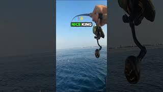 This King Made My Drag Scream! #fishingmethods #offshore #fishing #kayakfishing #king #asmr