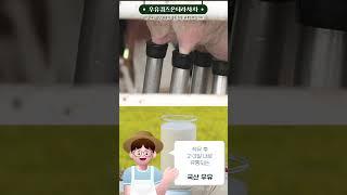 우유퀴즈온더라차차 - 국산 우유가 좋은 이유 #푸드마일리지