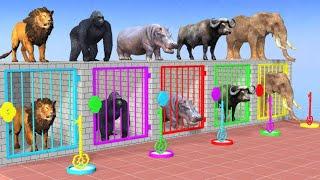 Lion Hippo Tiger Buffalo Guess The Right Key ESCAPE Room CHALLENGE Wild Animal Cage Game