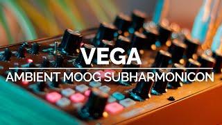 Vega | Generative Ambient Moog Subharmonicon