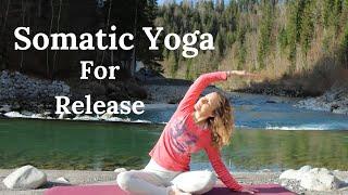 15 Minute Morning Somatic Yoga I Yoga for Beginners