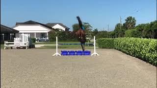 At Home with Glenbeigh Farm | Serpentine Exercises | Show Jumping Training Tips