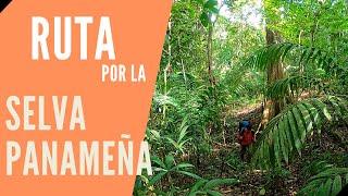 PASEO por la SELVA de PANAMÁ - Nueva Ruta hasta el Canal de Panamá | Rutas Turísticas