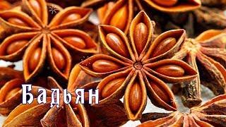 Spices. Star anise or star anise / ENG SUB