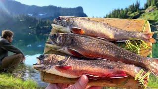 MOUNTAIN LAKE CATCH & COOK | Alpine Fishing, Camping, Backpacking, Trout Tacos in Remote Wilderness!