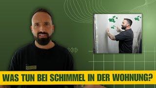 Schimmel in der Wohnung - erst Mietminderung, jetzt Leerstand in meiner Wohnung