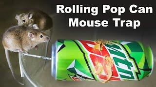 How to catch mice with a pop can and a coat hanger. DIY Mousetrap. Mousetrap Monday