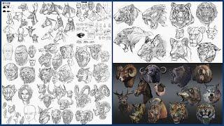 그림 강좌｜크리쳐 디자인을 위한 동물 얼굴 드로잉｜How to Draw  Animal faces｜How to Draw a Creature｜Creature Concept Art