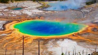 Yellowstone in 3 days. Grand Prismatic Spring, Old faithful. Geysers, grizzly, bisons, bear