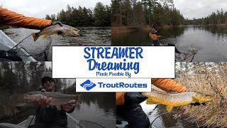 Winter FLY FISHING With Streamers | Trout Routes Sponsored |