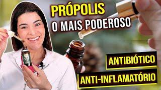 Você Deve Consumir PRÓPOLIS o mais Eficiente Medicamento Natural 