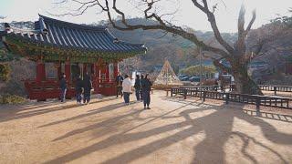 Jeondeungsa Temple is the best temple in Ganghwa Island | Ganghwa Island South Korea 4K HDR