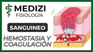 Clase 36 Fisiología Sanguínea - Hemostasia y coagulación (Plaquetas) (IG:@doctor.paiva)