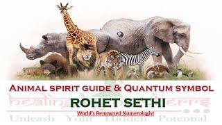 Animal Spirit Guide || Animal Totem