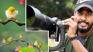 বাড়িতে বসে Wildlife Photography vlog | Wildlife Photography Work from home |  vlog 55 |  White eye |