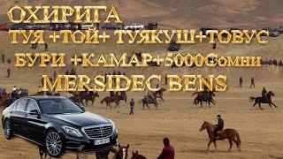 Тожикистонда улок охири Mersides Bens+ туя+той+бури+туякуш+товус+5000 сомон 23феврал исфара