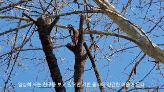 수원 팔색길 모수길 산책 ‍️